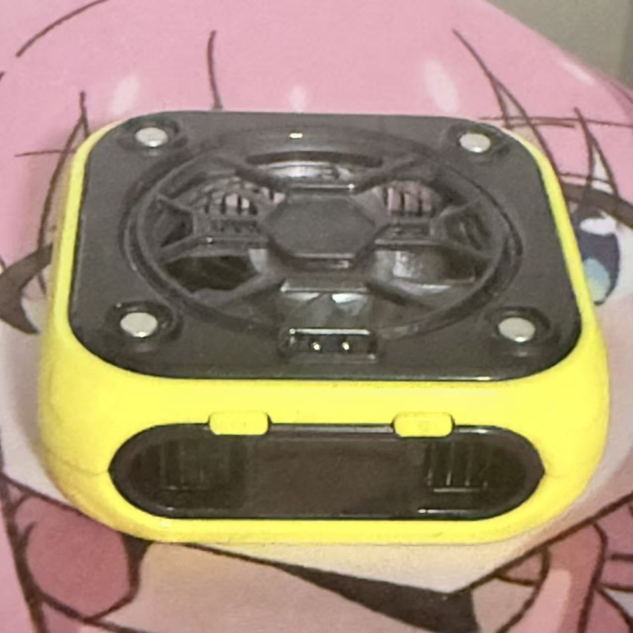 These are the items I photographed.