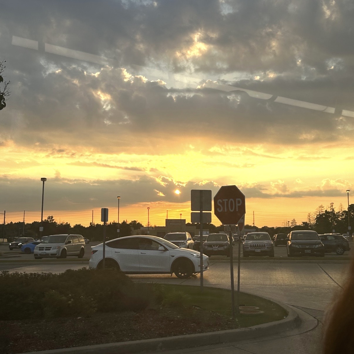 This is a photo I took in Richmond Hill.