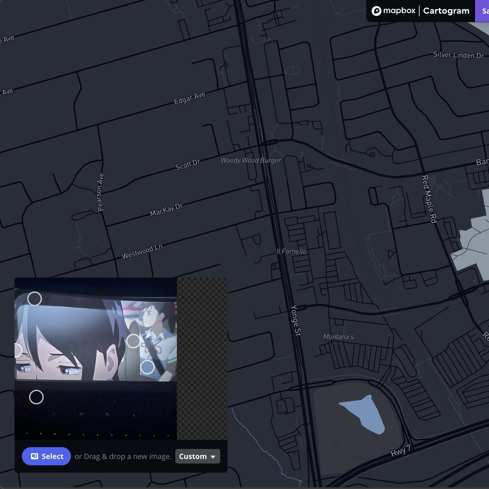This is the result after I imported the photo using the Cartogram Mapbox.
