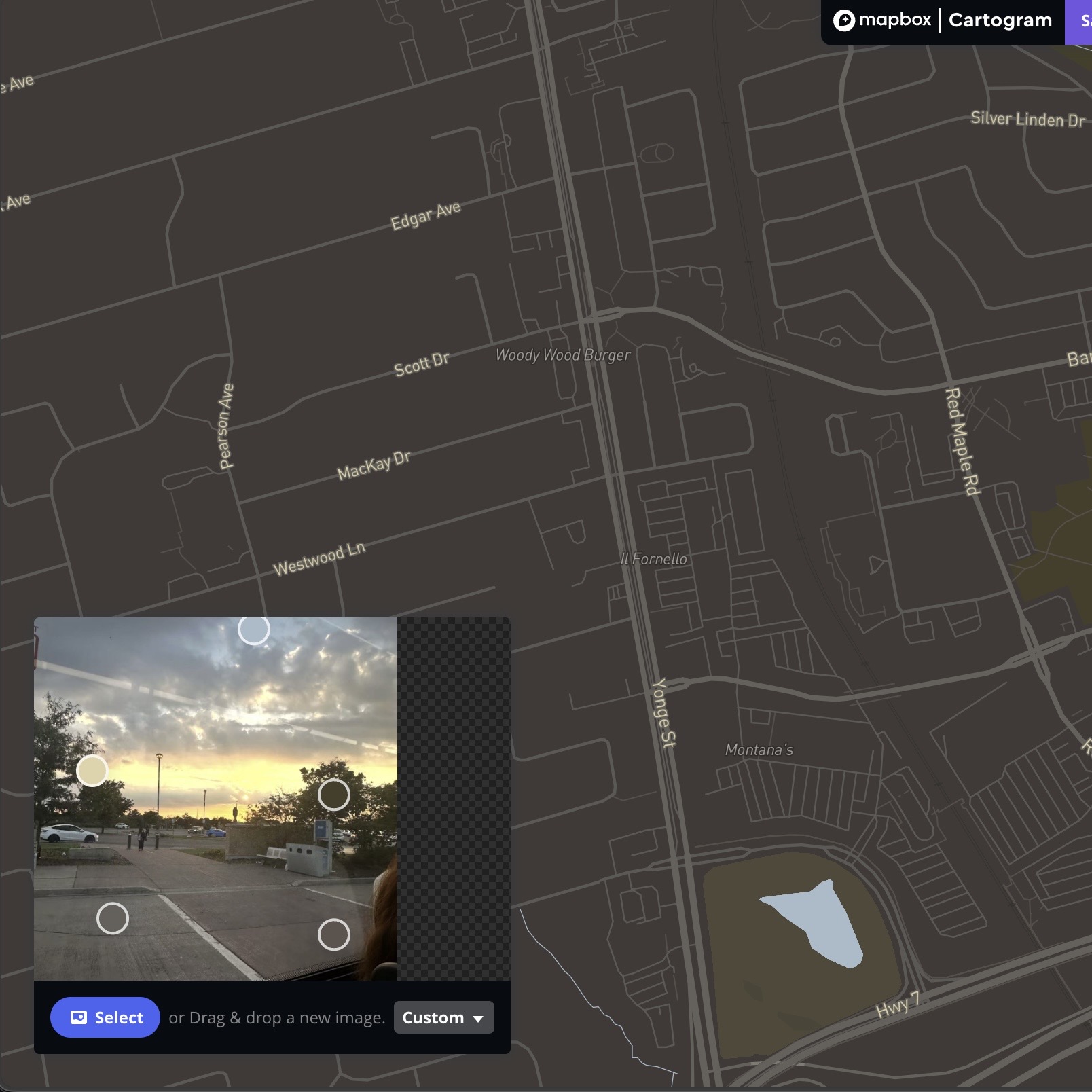 This is the result after I imported the photo using the Cartogram Mapbox.