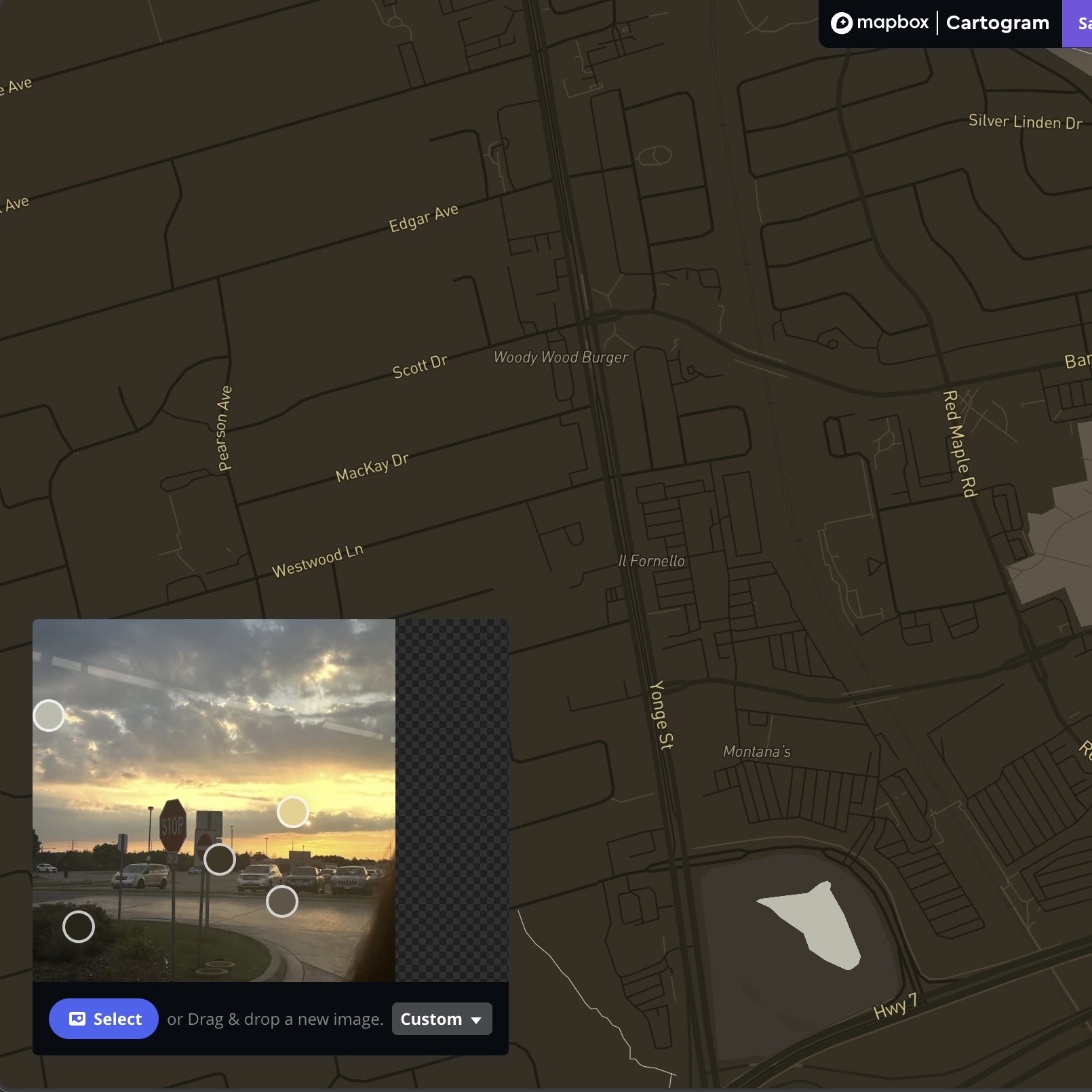 This is the result after I imported the photo using the Cartogram Mapbox.